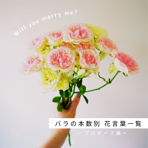 バラの本数別 花言葉一覧【プロポーズ】 | カナックス kannax