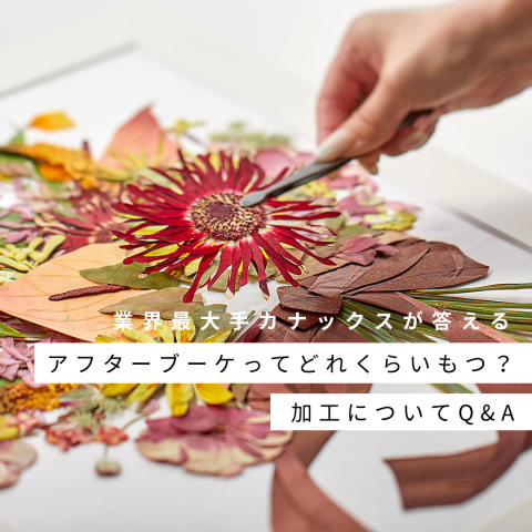 押し花/ドライフラワーってどれくらいもつの？保管方法は？アフター
