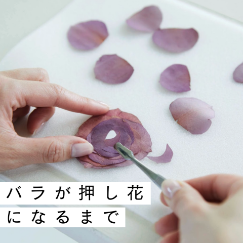 記事のサムネイル