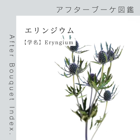 記事のサムネイル