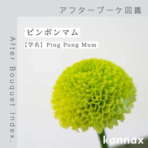 記事のサムネイル