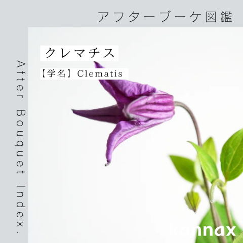 記事のサムネイル