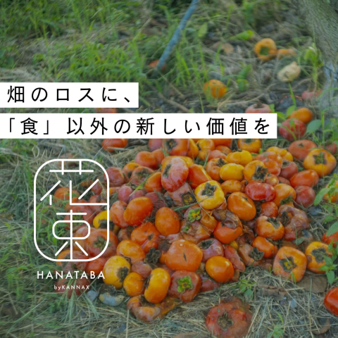 記事のサムネイル