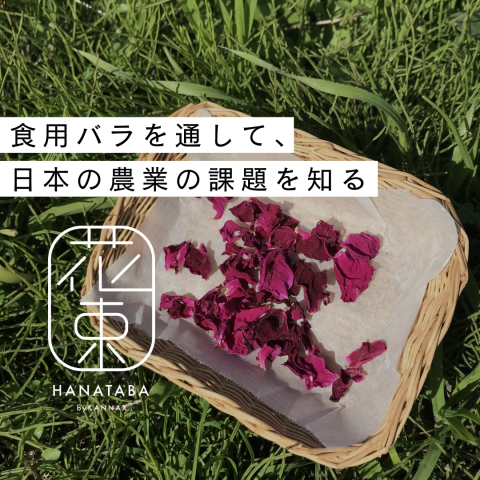 記事のサムネイル