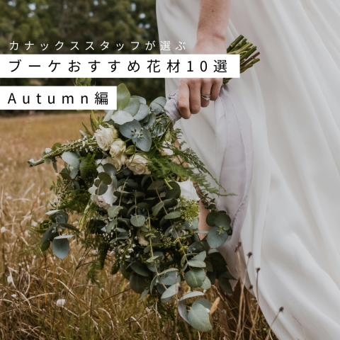 記事のサムネイル