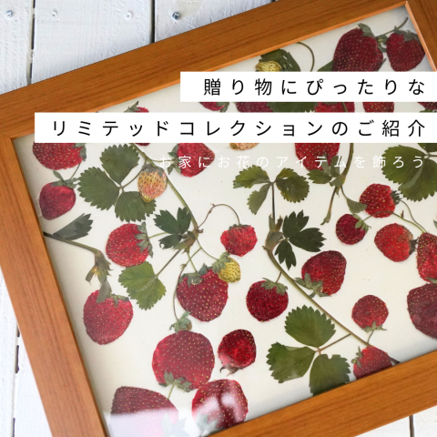 記事のサムネイル